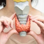 Qué es la endocrinología